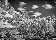 2019-07-10/d5aaf32e3d10202f22857c93d6fba0f9_bce2e668cf58b5960a1b5e7a196f6f41