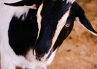 2019-07-11/05582a01345c6578ef53139a02d5e2b8_b852abaa173db000f44da0210f8e901b