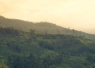 2019-07-11/6ea17147d61dc191b0df6ed7b9589e4b_a7bd607a785c10cde526f463fc253811