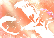 2019-07-11/94399826e156883346b896ec1f3f8f58_980d0794e0a44b5fd2bae88ef8a43e82