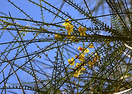 2019-07-11/bfa2a7ceba3e7993bcb2f5f034c4c616_498a2695217eed8cb92105fb4572c54f