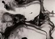 2019-07-12/05cee8f07e92df4a957950fe6c06318e_157cb4316b4805aaeaf20bd309d2f453