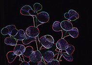 2019-07-12/083c0b300396d88a2e414f7514f9731f_4309c9659f601ae87add8a88b9df475a