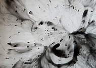 2019-07-12/9d845af866fdf074d15289c7c763a962_d2078399db5184b0aa6c92d1f7696b7a