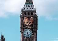 2019-07-12/c04118798dcbea3eae682d2fa5482cd0_6f34e5152353c593d54e1952b7caff6f