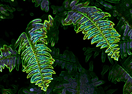 2019-07-13/11ec7230860ed99059d08981a08b080c_280722ed547e64a63ba802da93354c82