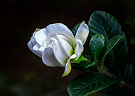 2019-07-14/0880067f560839a99a1d2ed0eb59572c_a45b63f38061a409169d987ba7880fab