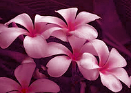 2019-07-14/13eee918530d1f0987ddb03a9dc3dbc0_e73aeb9d2465786b34b8a72657cbe70f