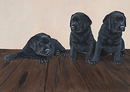 2019-07-14/3dde64a40177556ad2b52d20bb301a31_8a20ae4a02f7e9bb625174d2cafc38d1