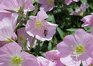 2019-07-14/719a663fb3a0294cd1cbbeb88a3a0fe1_32e278523d9b76e337008ea83c82eb91