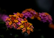 2019-07-14/9f58c08f27a30de10c7bb8f26c32a93a_f9ec726ac89d763607dd12a70b603936