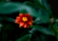 2019-07-14/a9487057a6e4412a7dc877aa1f946e6f_768273fc9ea17b3267a2a8ac18280a52