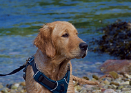 2019-07-14/ab28a91140f0f1310cf61e456f81f73c_6228ec9f542c105ae71e11701932f32b