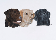 2019-07-14/afdc71e482eb658121c0c1db06222527_d71e7c5966c141d2d6ce58f6ffe8a41b