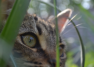 2019-07-15/1ebcf2b5182fe30a39bceb1c7de7e519_f0933228c80455876986a1770dd3a26a