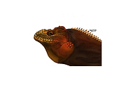 2019-07-15/2a4c7c9b520156bb3ed5b124761b4af4_50d4cb97e1f83d4234a8a78f254f74b1