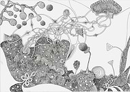 2019-07-15/c97f6848309073a100a0ca2b7eac1324_f77742c35106721e41cf3d338673c00a