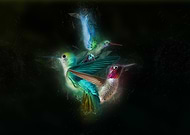 2019-07-15/fb862671b2b4f9aa124d96ee6dba239b_4a910b3ecb5127b91af8817635285bb5