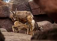 2019-07-16/05895d674054c7980ad9957c656d34a7_e93e519095ba290b400c373d3cd4ba75