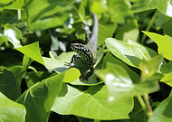 2019-07-16/2d78439db9c5ed4b13d894783d4c952c_26c1609149fb7cbfc9d0eebc13bc136f