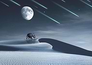 2019-07-16/44e9c8680f0ceecea731ba48e684feec_57569b755e28e97fb2cad1ac195d23c2