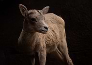 2019-07-16/780ff4c8970b8b0c546115114da6c209_f12b3d4876a416d95f0c124b2d3eb3fa