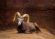 2019-07-16/cf618c40ec823e676c20357b9953e8b8_72f7b42c2cbbe1c35a1308ef557b56e9