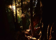 2019-07-16/d0d2daa7bff216931aaebf8032c7d90a_72db1424c8c9956f1a907905f70fb380