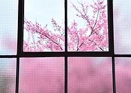 2019-07-16/d14a43262502e70bb7fc1e3010ab5f50_d4a23806e8f970bc59aef3cdea5c8ff7