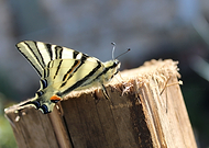 2019-07-16/d36c7914c915871dbf610cfc495f1e1c_42b3d123f897e6662512d35986fd141e