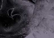 2019-07-17/6557d60c5f3a67d1255f953e0eed5d77_0372ce69322828428d495d882d1bbc42