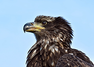 2019-07-18/18e8f1c6f1bb698960a1f43e06b4ec76_7109bd57f764a652039d16d9760b1269