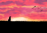 2019-07-18/2be218117e9a0cc1dd3b1f85f287285f_17b776ee3c0527cdd1391bb8dedd4972