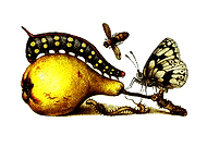 2019-07-18/40f900d0db276dcb314f0bd8b5caba0d_5265a4e35b1d6f20f4081d45eb604c10