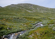 2019-07-18/7e292e151df6e394752ccb96e9fd1fdb_7c70fe7cbf31adbabc6471e23bee07e9