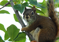 2019-07-19/2382b8948bbf546cc86889c2a3403581_6639a6576eaa282a5ebdb63e0f9afcf6