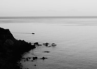 2019-07-19/2909b6a7b63c0be90a7e29a09d95569c_3c48830e3382957e7826cdb2f0c34ea9