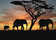 2019-07-19/2f637e809440c21ed80009c7553785c9_2a5a0b6e62f672619a1e1668bae637c3