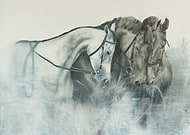 2019-07-19/497c09865f1378df6445f2ffe3063c7d_45acd0b177f868de2be376e14b4e869c