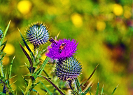 2019-07-19/5e36fa4b8180ba2615f0a9c6bb9850ca_59a435acad0fb05193b1ad8d923052c6