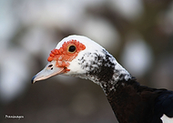 2019-07-20/146fce6d098c36199e49882f2b8e90d7_36feeacb85b7d6c0e0982e678c5718ad