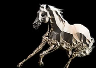 2019-07-20/23cbef02fdd0f931fdbee89ed7c4d092_dde9a6889b39517a032764b41ad78faa