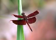 2019-07-20/ca218a30d2173714f1055e1cd843dacb_d2493581e938e2e420a69a19cc54b297