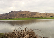 2019-07-21/67016ab3fb0e3f45fb4ff467acaa8384_cad6ca21727e2ddc66c84104b395ecd9