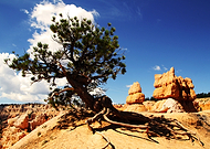 2019-07-22/1bf6cc9cb08a0866103173e7c054f970_acd329182dc350f4460bd5740f3ed105