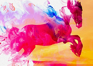 2019-07-22/366a9299034eb05703b0581c91b84db1_f495e05365b99831a82f1aa43aa57f39