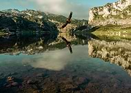 2019-07-22/5ad5cb5f232e66379dcbbb457b34cc98_bfe017916d16acc080aa6597802d044f