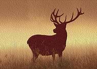 2019-07-23/0bae3812a7ae8b3ce9b62e4f35e58be7_a9bdbb8c519f32fb4447004c46639346