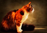 2019-07-23/394a0689edd8a73ecef70dd1151b7153_c7362cff4babce6fc3f9b3464f02ab5a