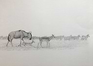 2019-07-24/849e45ae5641b0dfb57e545ac7913de9_77c064825d15f2a8aa6e086ab045cef3